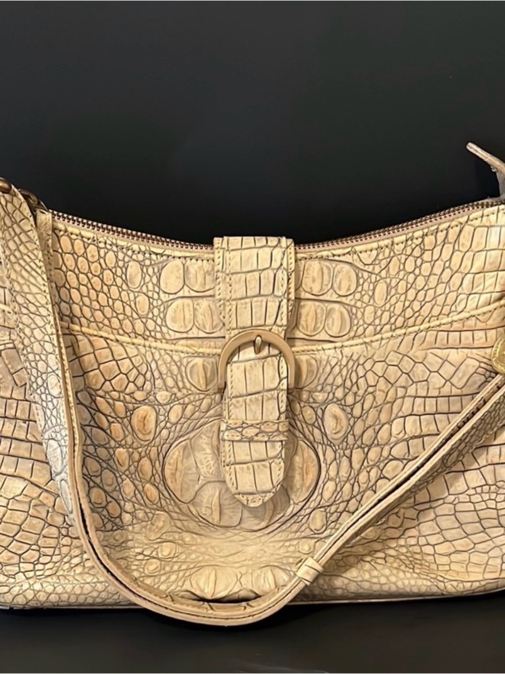 Brahmin bag only!